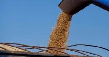 Produtores de soja devem atualizar o cadastro de propriedades rurais
